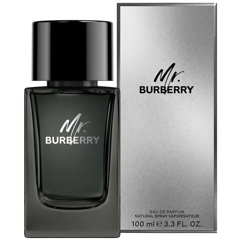 burberry mr burberry eau spray reviews|where to buy mr burberry.